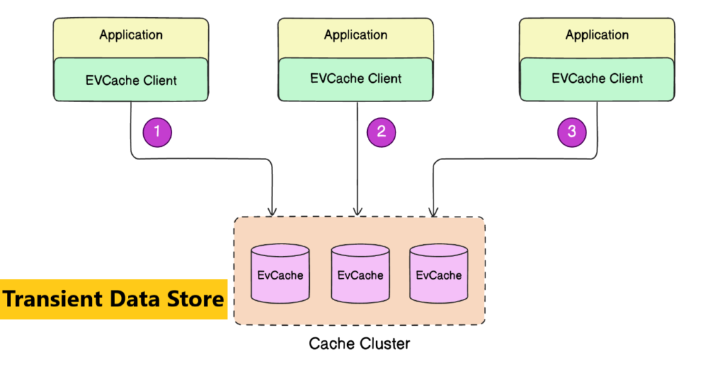 Transient Data Store